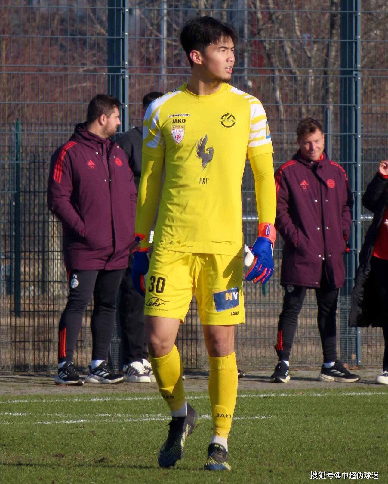 沉着应变的 沉着应变的