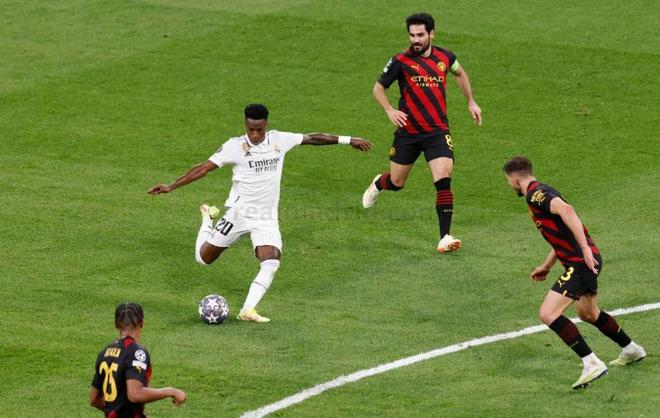 进攻观感犀 进攻观感犀