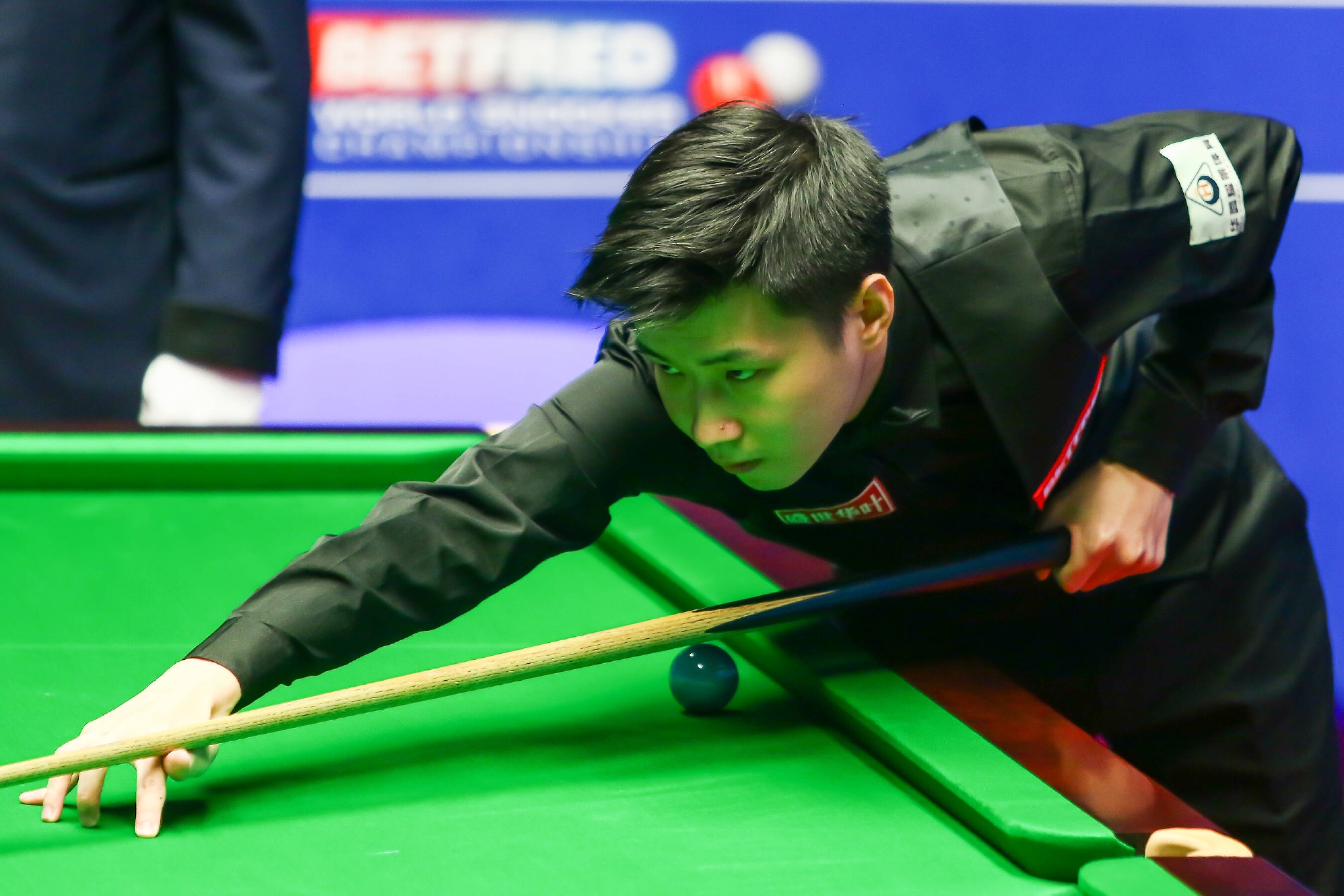 同比增18 同比增18