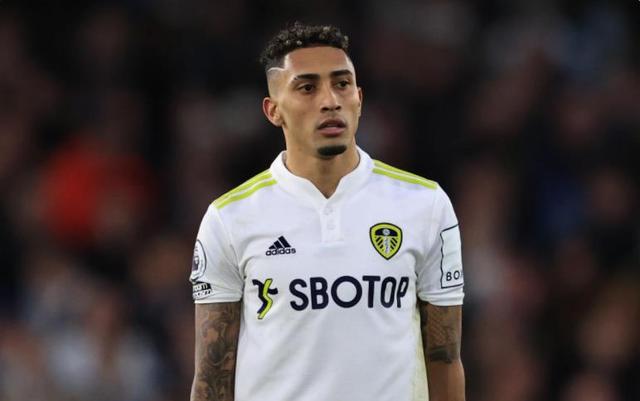 不是单一 不是单一