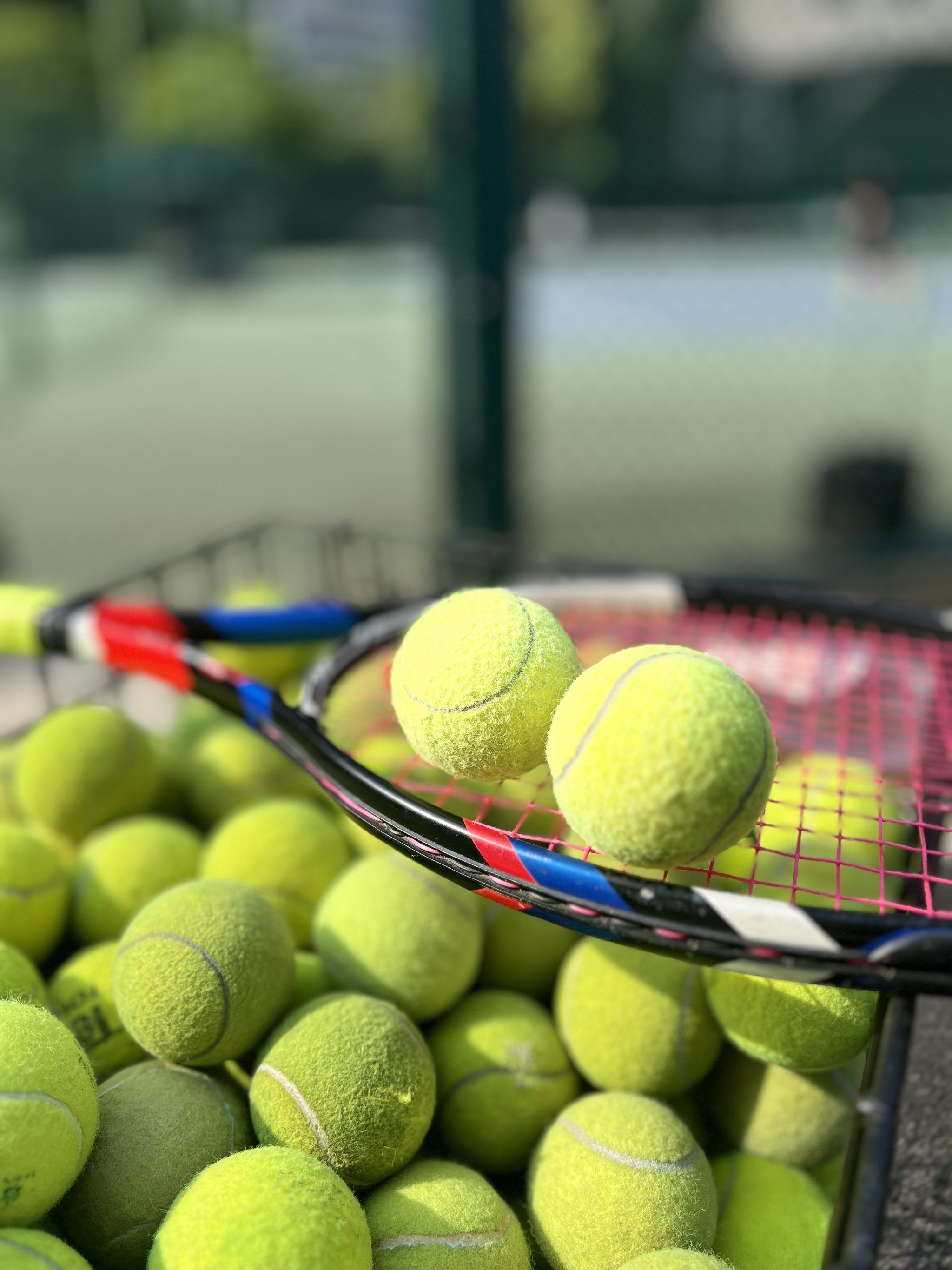 则会让位于 则会让位于